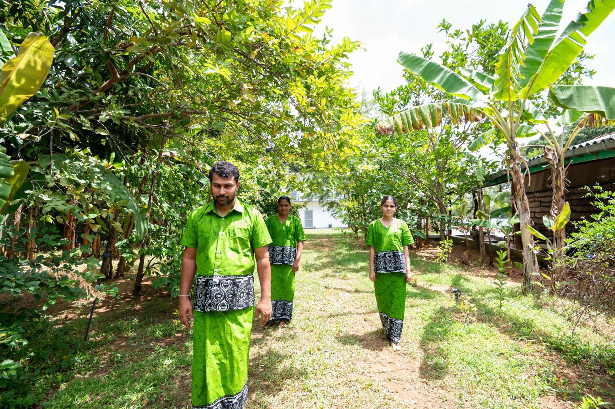Ayurvedic Lanka Wellness Hotel Moragaswewa Eksteriør bilde